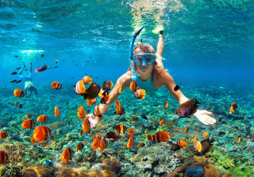 Exploring the Best Social Media Channels for Florida Sports